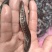 七星鱼苗，品质保障专业水产养殖欢迎全国客户前来订购