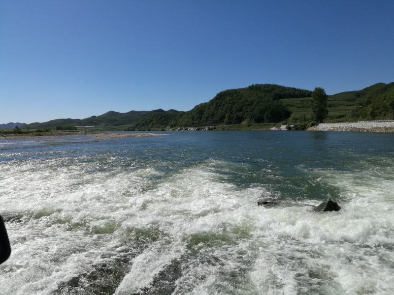 小嘴马口鱼，规格6到14厘米，冰鲜，冷冻现货