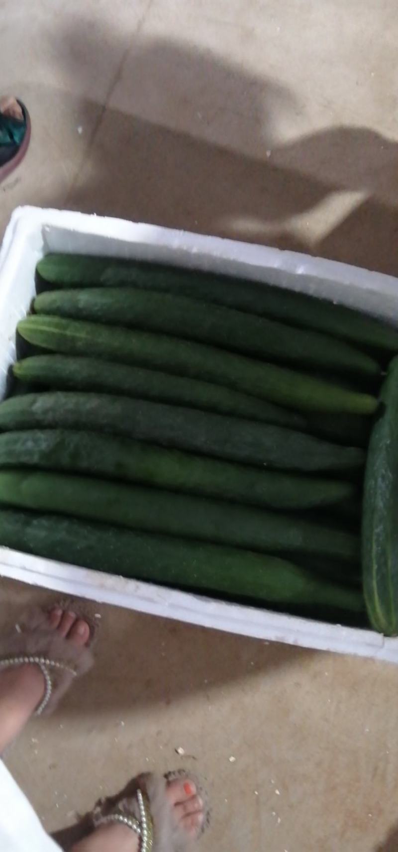 精品黄瓜便宜了