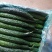 精品黄瓜便宜了