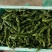 小皱皮辣椒。口感辣。各种品种。各种级别。各种打包，
