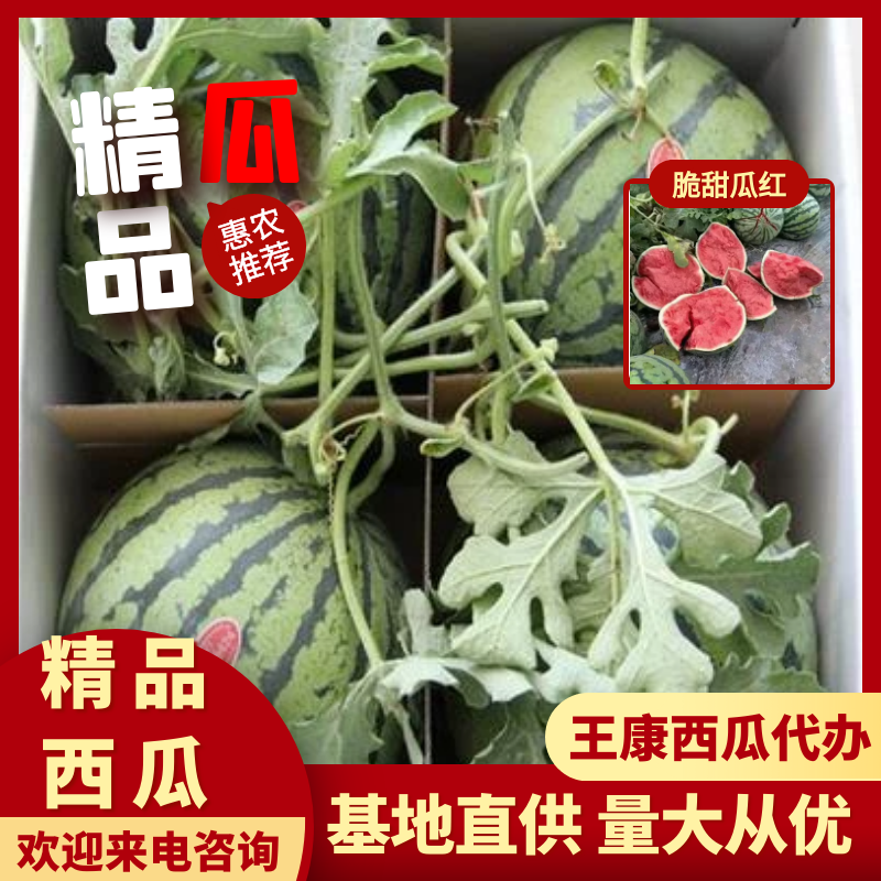自家工厂西瓜全国包邮