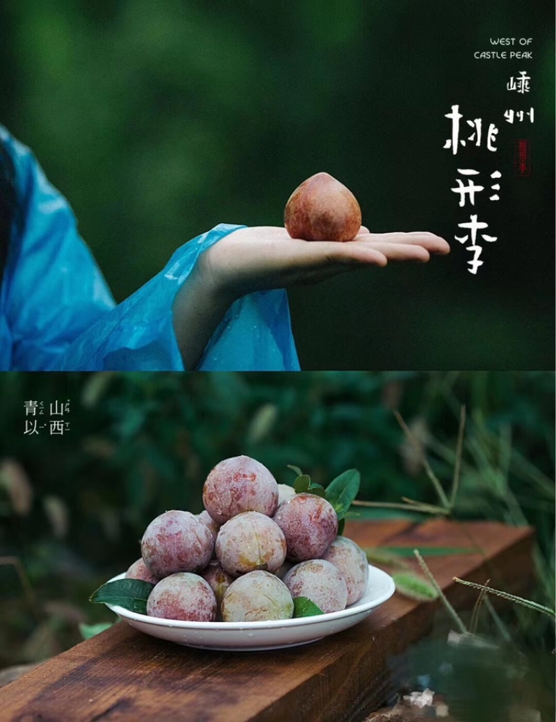 羲之桃形李