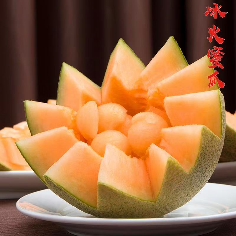 哈密瓜