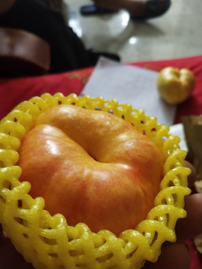 油蟠桃大量上市品质好，口感好欢迎广大客商前来釆购！