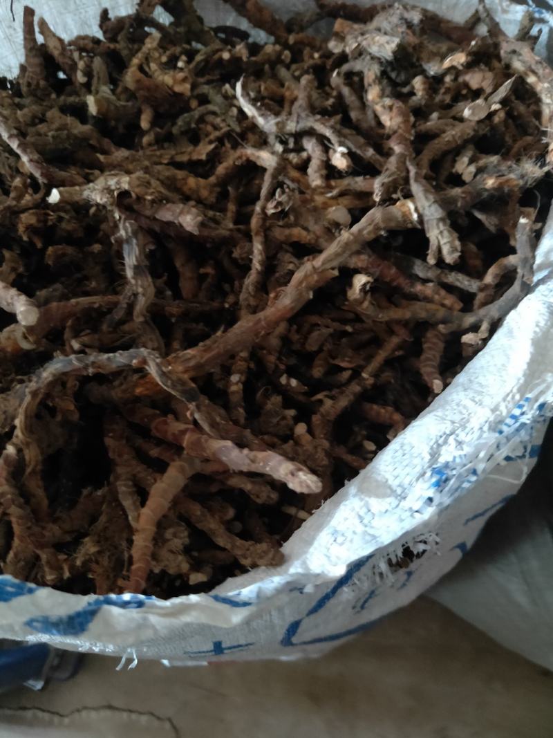 石菖蒲大别山采挖人工种植数量有限干货
