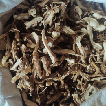 云南野生当归干片