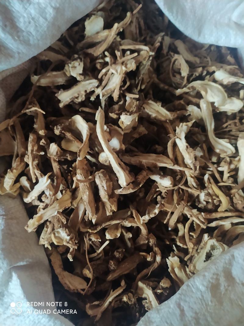 云南野生当归干片