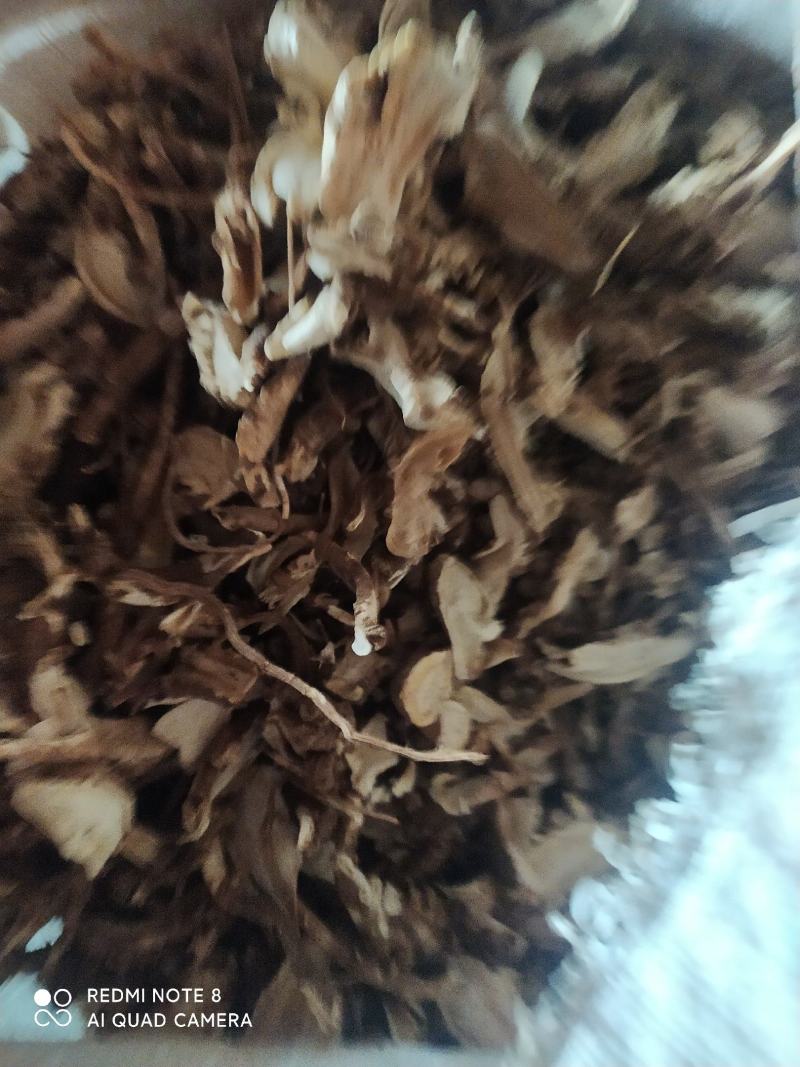 云南野生当归干片