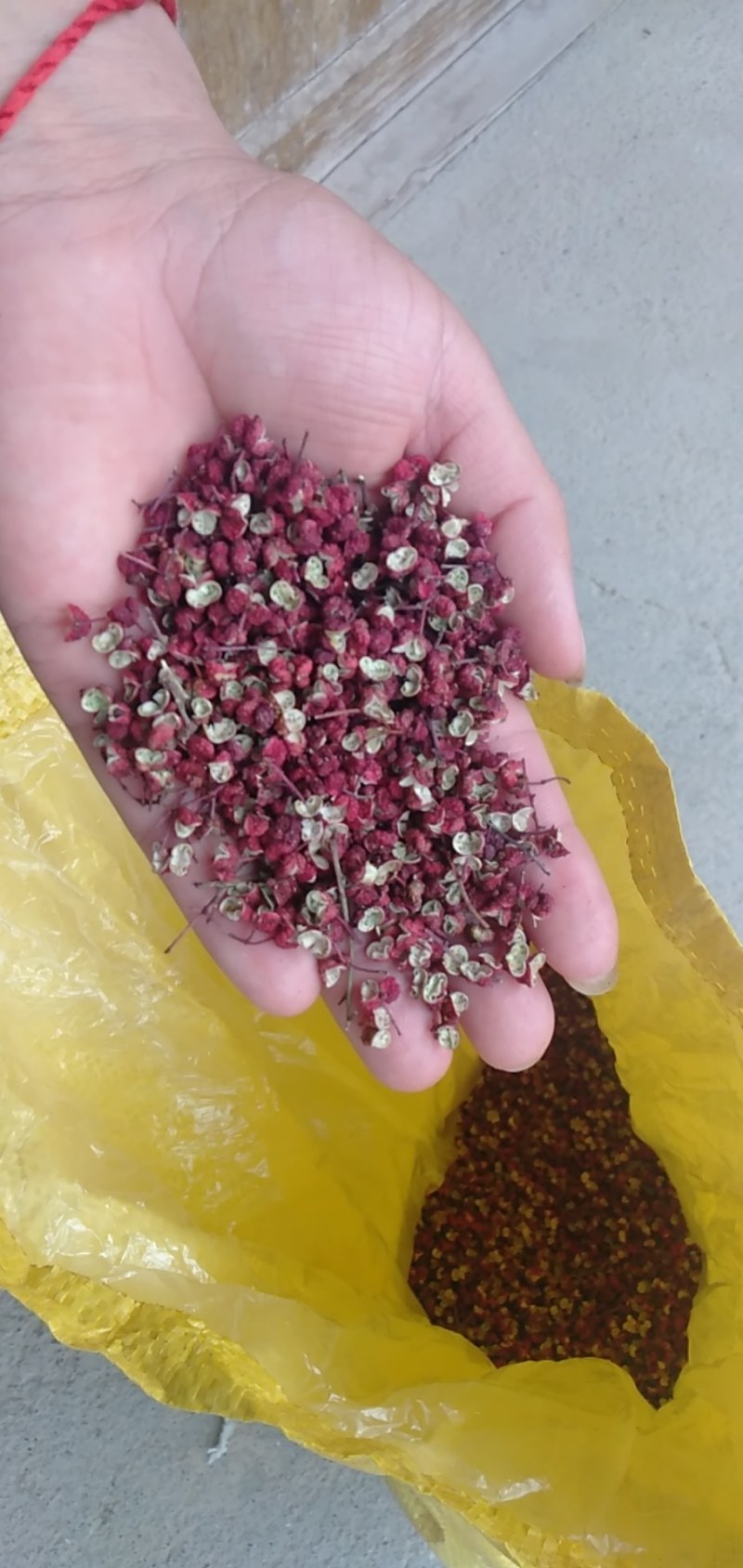 【精品】武都大红袍花椒，原产地农户货源甘肃陇南武都花椒