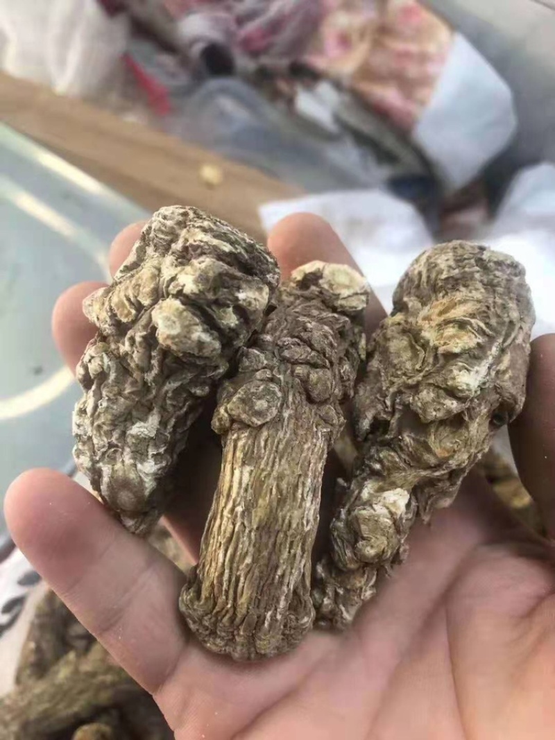 当归片、头、全当归正宗甘肃岷县，特级、无硫磺、包邮