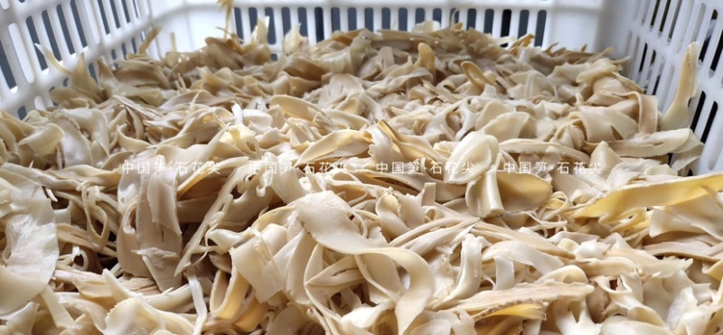 500g白玉纸片笋诚招全国区域代理商可批量出货