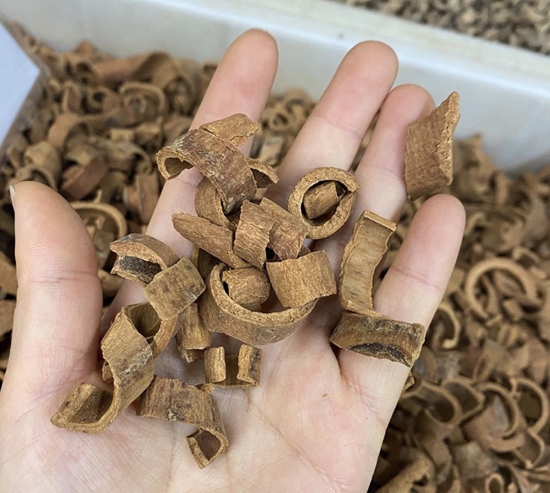 肉桂货品质量保证批发各种中药材