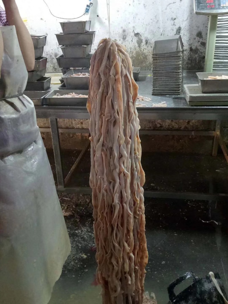 鹅肠冷冻产品厂家直销批发