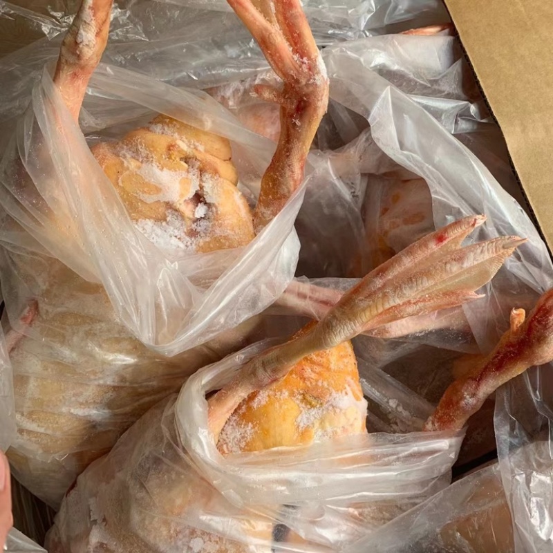 红嘴雁番鸭洋鸭鸳鸯鸭鑫珂食品厂家直销