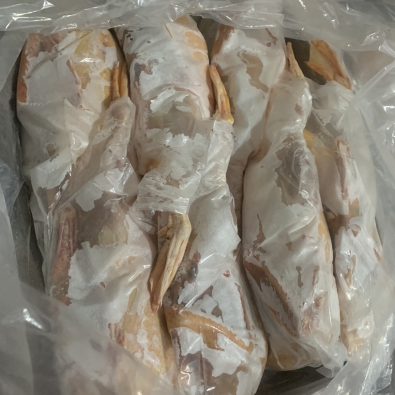 红嘴雁番鸭洋鸭鸳鸯鸭鑫珂食品厂家直销