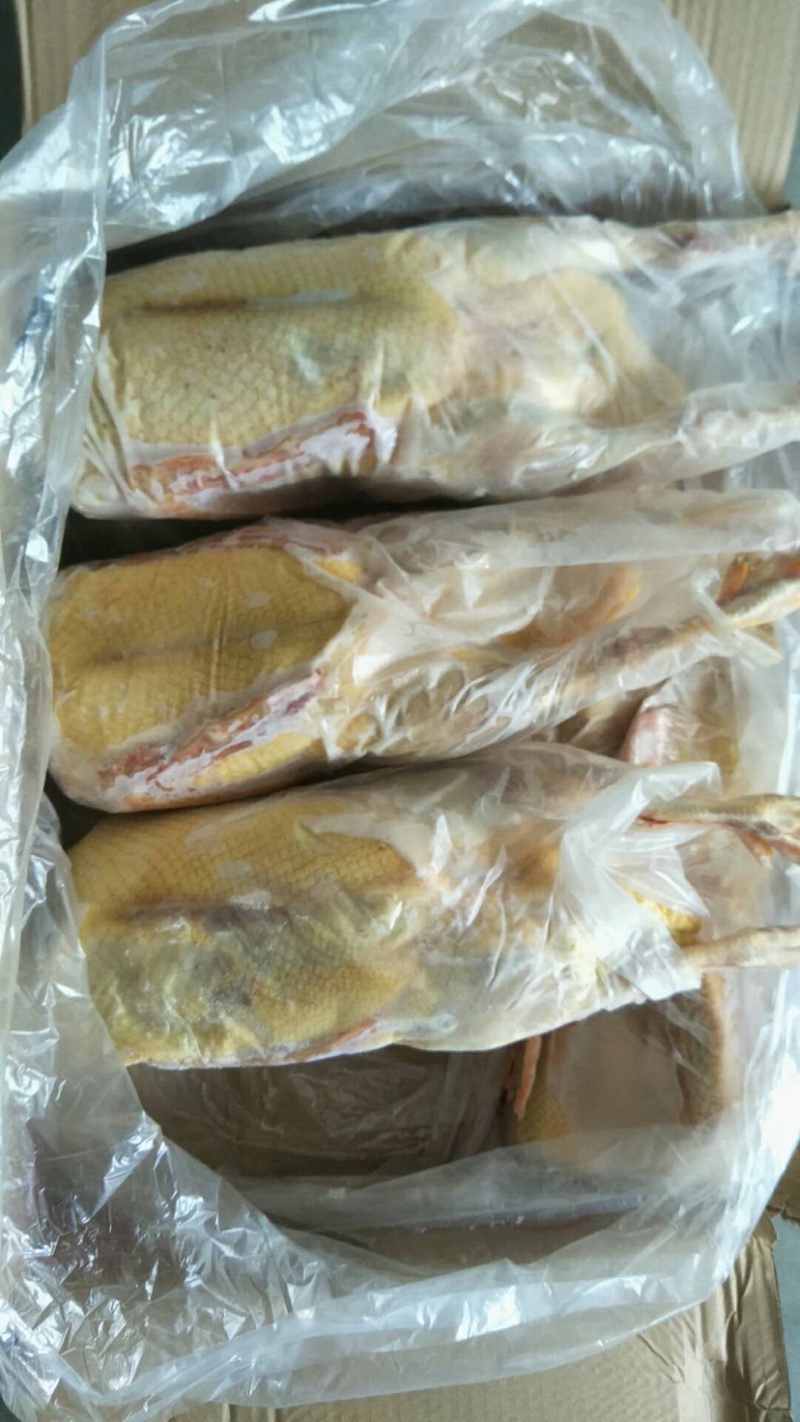 红嘴雁番鸭洋鸭鸳鸯鸭鑫珂食品厂家直销