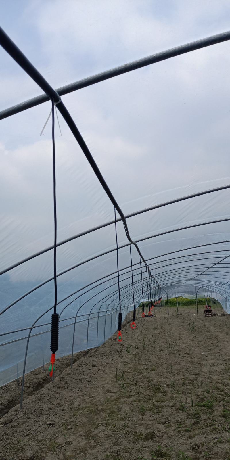 新津县花源镇共和村27亩大棚转让