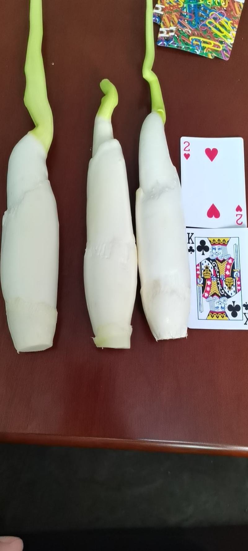 高山好茭白，单季茭，保质保量，保证带青的一包不超过3个