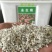 永生菊种子松叶菊种子四季易种花卉种子园林绿化工程花草种