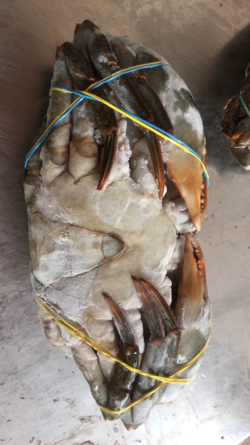 活冻青膏蟹、全部带膏