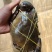 活冻青膏蟹、全部带膏