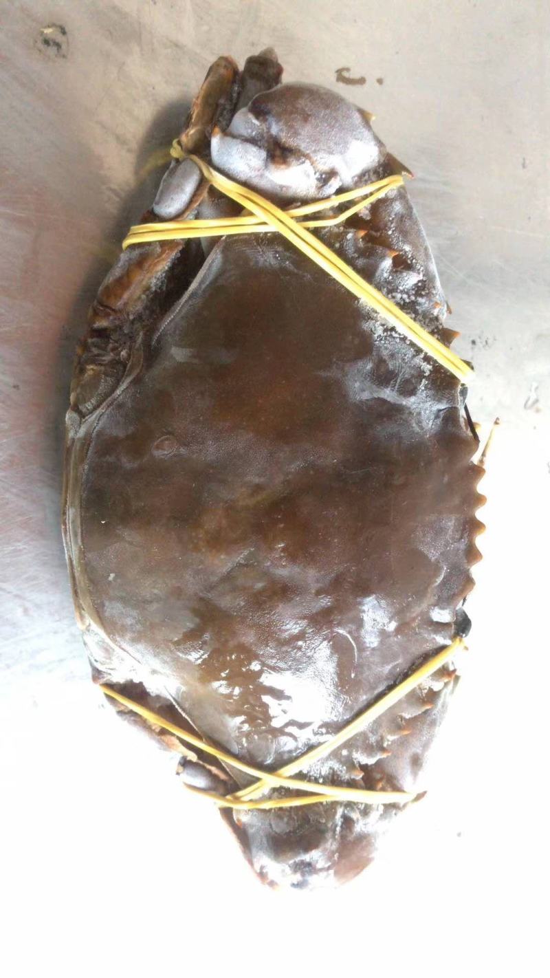 活冻青膏蟹、全部带膏