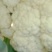 我处各种蔬菜大量上市，一手货源，需要的联系我