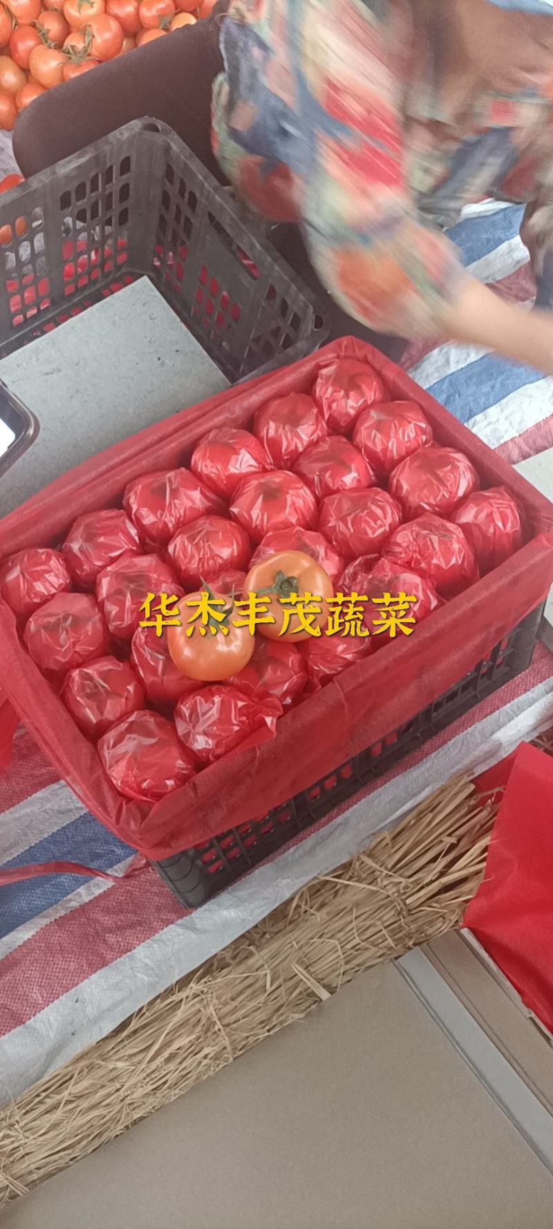 冷棚大红硬果西红柿弧3以上，果型饱满无空果，黑胶框包装