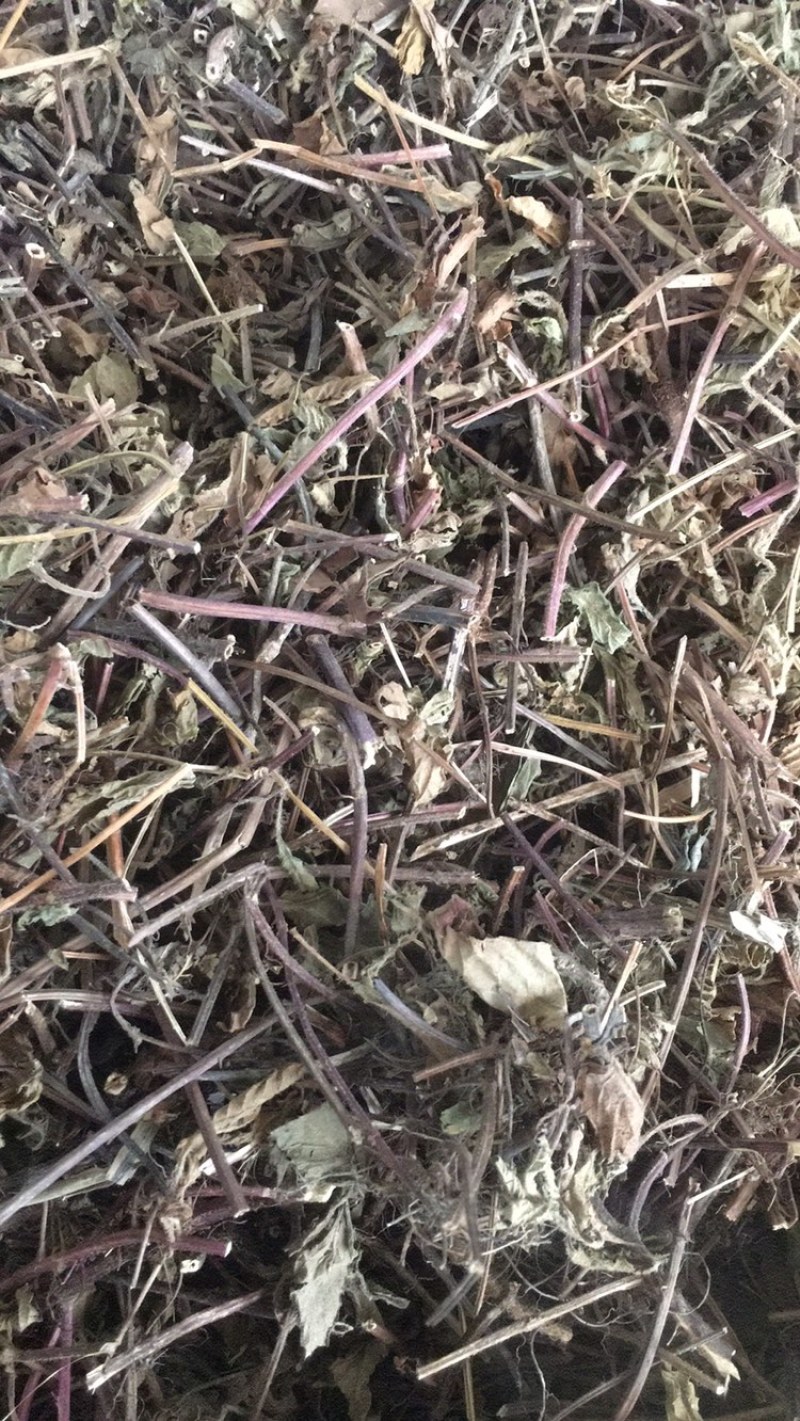 凉粉草凉粉草无硫新货量大包邮