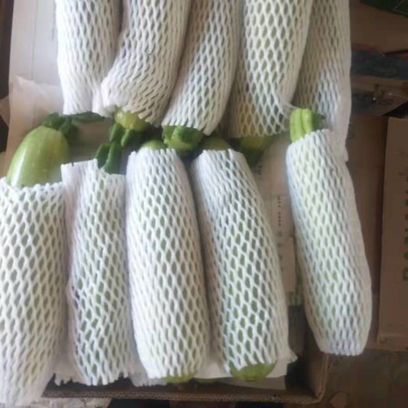 河北精品西葫芦瓜形直颜色亮全国供应欢迎老板选购