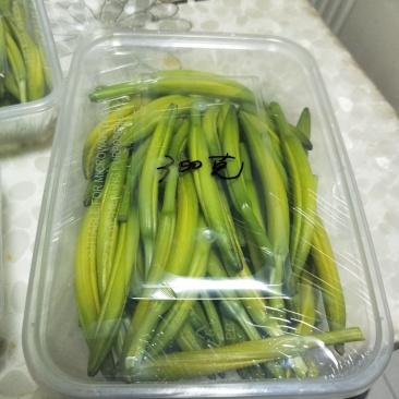 鲜黄花菜