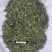 穿心莲厂家直销没有中间商赚差价穿心莲切草（切片）
