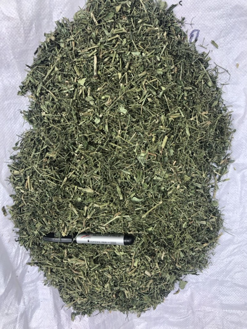 穿心莲厂家直销没有中间商赚差价穿心莲切草（切片）