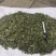 穿心莲厂家直销没有中间商赚差价穿心莲切草（切片）