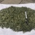 穿心莲厂家直销没有中间商赚差价穿心莲切草（切片）