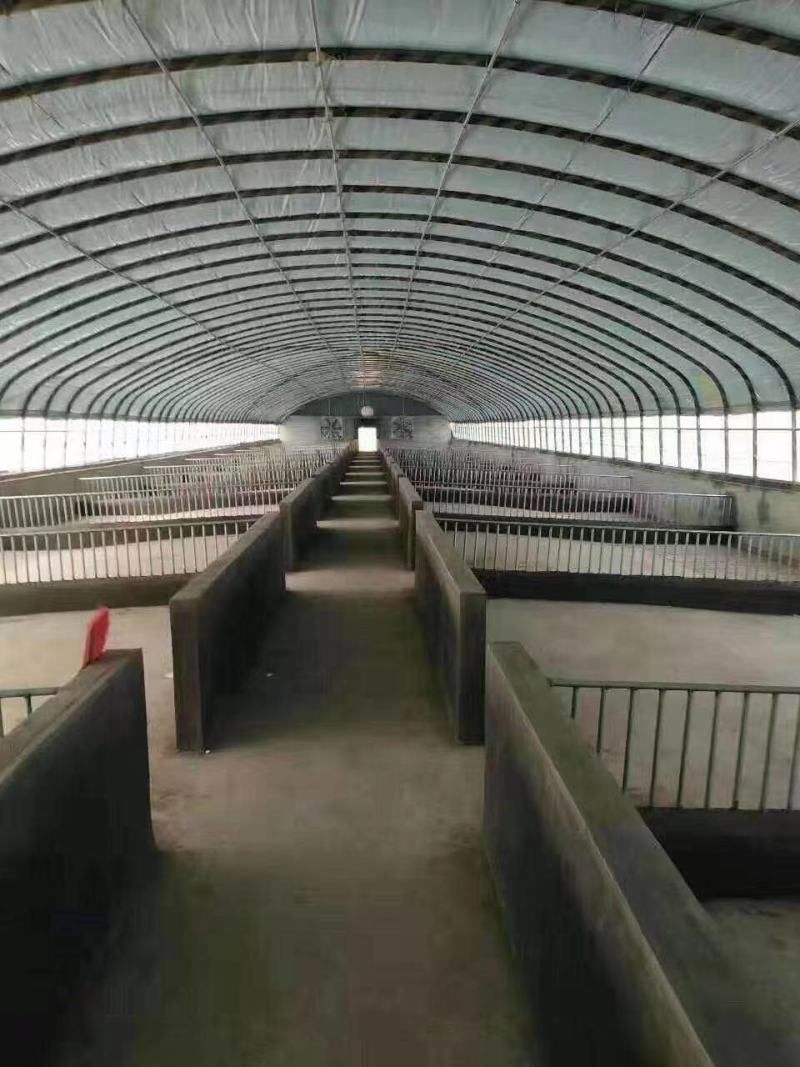 成套种植温室大棚规格齐全质保全国发货