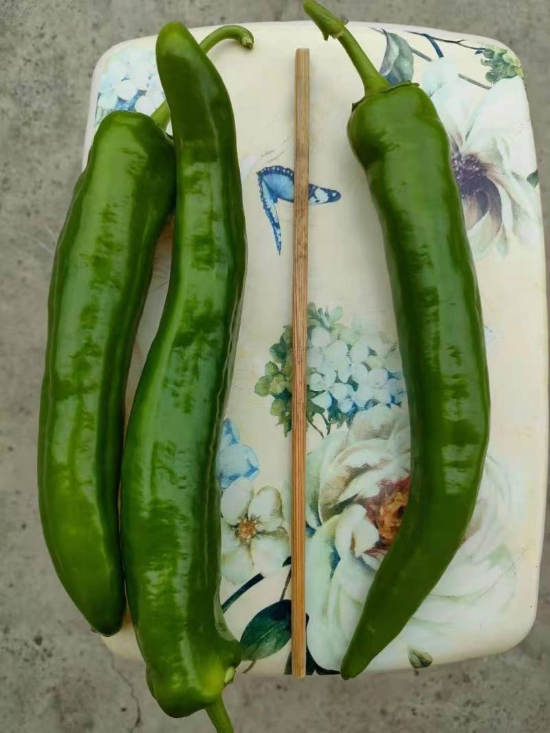 牛角椒