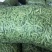 精品翠绿宝毛豆，老产区，种植面积广泛，质量稳定