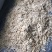 笋片新货江西毛竹笋闽笋压榨笋一斤泡发4斤水发酒店餐饮麻辣
