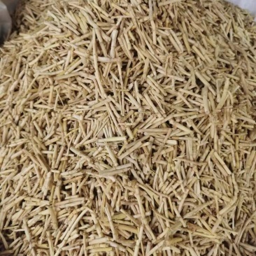 白茅根无硫足干切三公分