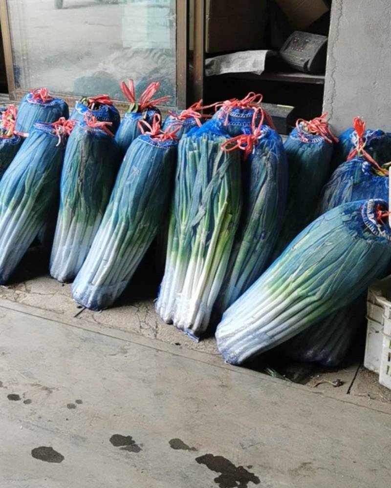 三利蔬菜批发中心