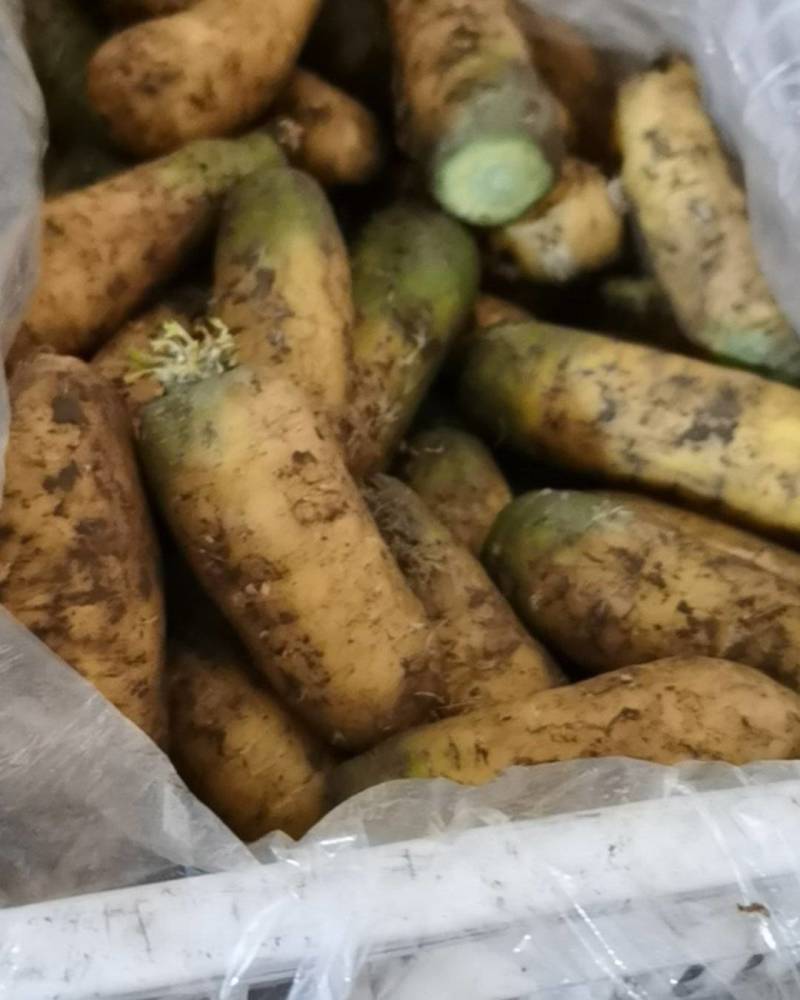 三利蔬菜批发中心