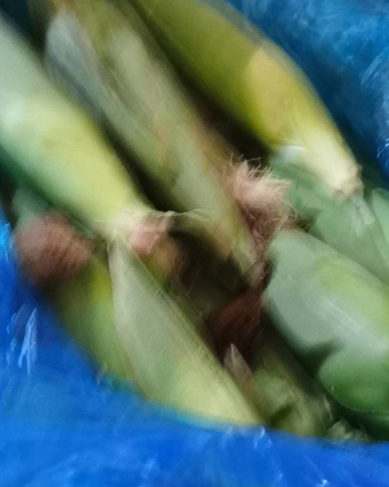 三利蔬菜批发中心