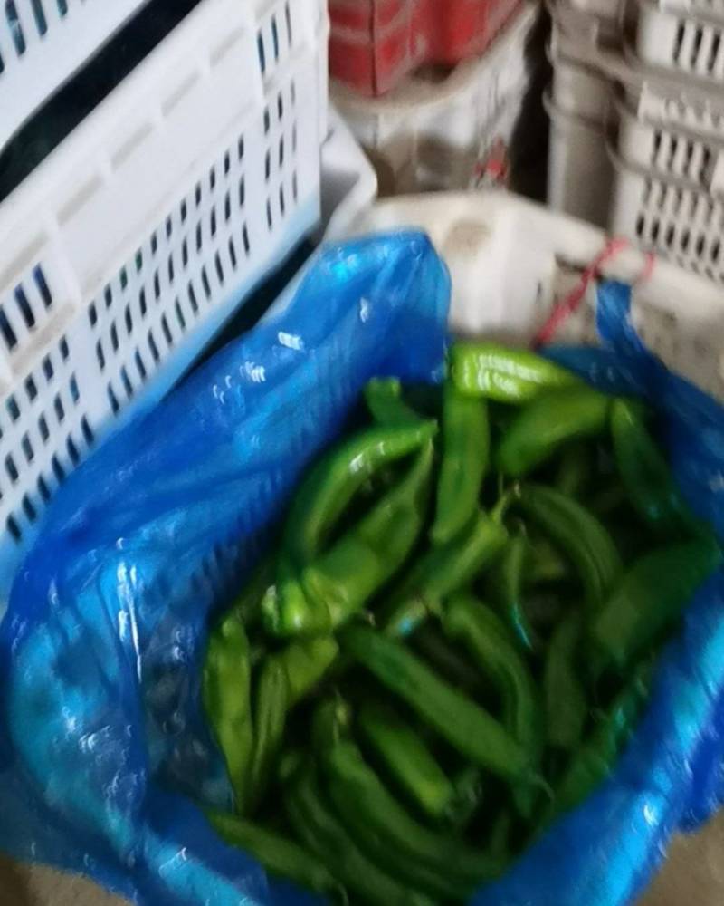 三利蔬菜批发中心