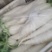 三利蔬菜批发中心