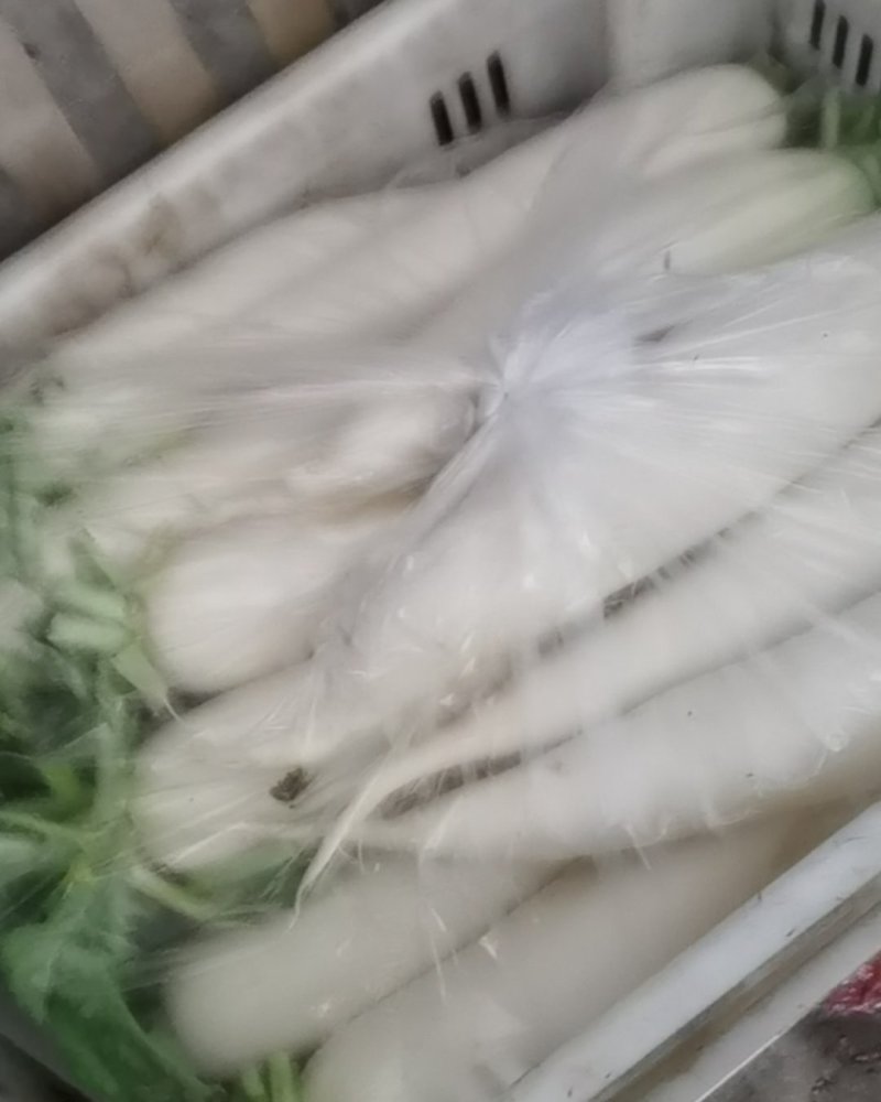 三利蔬菜批发中心