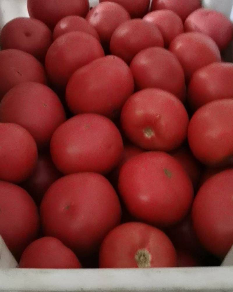 三利蔬菜批发中心