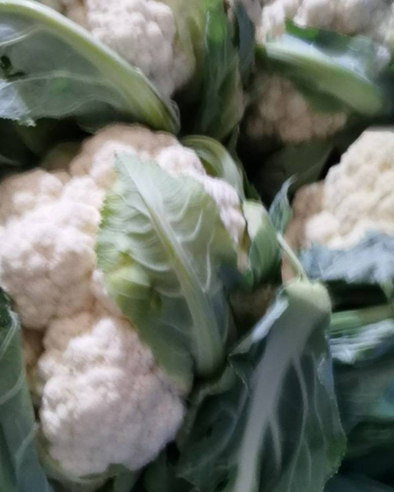 三利蔬菜批发中心