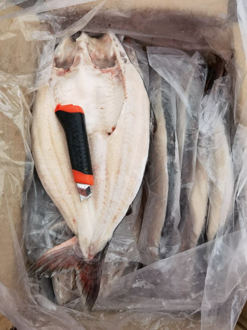 开背冻巴沙鱼原汁无漂白酒店餐厅必备食材价格实惠